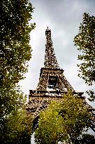 Eiffel Tower Illustrations - Paris