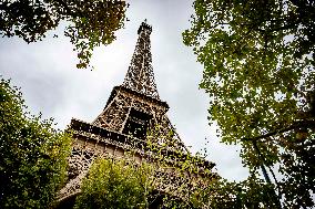 Eiffel Tower Illustrations - Paris