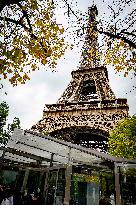 Eiffel Tower Illustrations - Paris