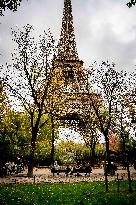 Eiffel Tower Illustrations - Paris