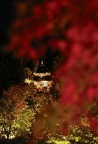Kyoto temple special light-up for autumn foliage