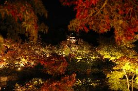 Kyoto temple special light-up for autumn foliage