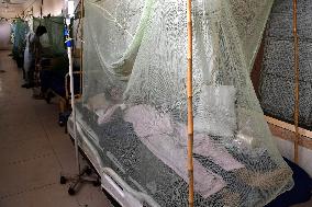 Dengue Fever Cases Are Rising Sharply in Pakistan