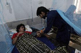 Dengue Fever Cases Are Rising Sharply in Pakistan