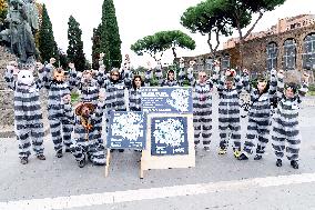 Flash Mob for Legalization of Soft Drugs - Rome