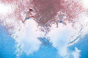 15th National Games - Men's Synchronized 10m Platform Final
