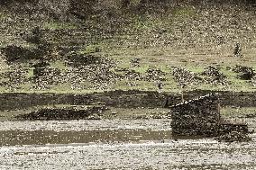Low Water Level in Belesar Reservoir - Spain