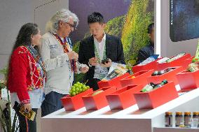 8TH CIIE Held in Shanghai