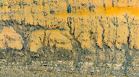 Qiantang River Tidal Tree Landscape