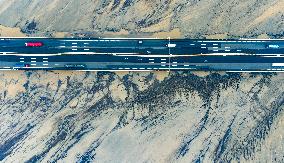 Qiantang River Tidal Tree Landscape