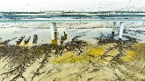 Qiantang River Tidal Tree Landscape