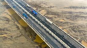 Qiantang River Tidal Tree Landscape
