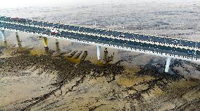 Qiantang River Tidal Tree Landscape