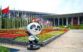 8th China International Import Exposition - Shanghai