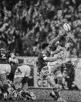 Test match France v South Africa - Rugby - Paris