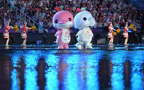 15th Chinese National Games Opening Ceremony - Guangzho