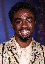 Netflix Stranger Things S5 FYC Event - LA