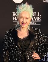 2025 Rock & Roll Hall Of Fame Induction Ceremony - LA