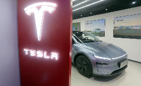 Tesla FSD