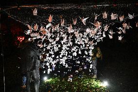 Pro-Palestinian Visual Intervention at GLOW Eindhoven - Netherlands