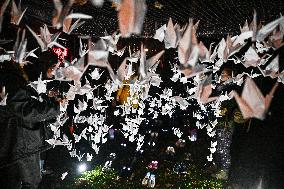 Pro-Palestinian Visual Intervention at GLOW Eindhoven - Netherlands