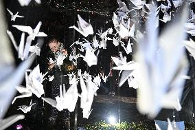 Pro-Palestinian Visual Intervention at GLOW Eindhoven - Netherlands