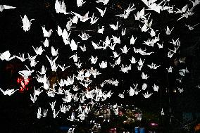 Pro-Palestinian Visual Intervention at GLOW Eindhoven - Netherlands