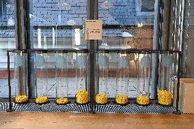 The Mysteries of Money Exhibition For Children - Paris