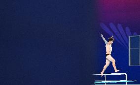 15th National Games - Men's 3M Springboard Final - China