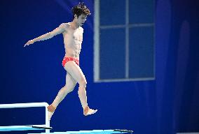 15th National Games - Men's 3M Springboard Final - China