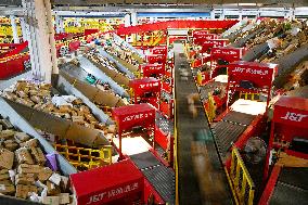 Double 11 Shopping Carnival Jitu Express Logistics Peak