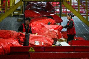 Double 11 Shopping Carnival Jitu Express Logistics Peak