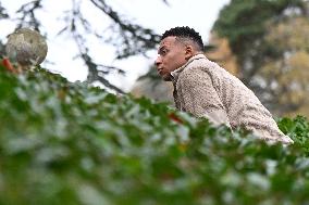 Arrival of French national team players - Clairefontaine