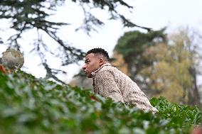 Arrival of French national team players - Clairefontaine