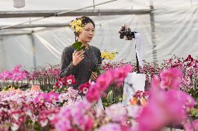 China's Online Sales Industry