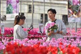 China's Online Sales Industry