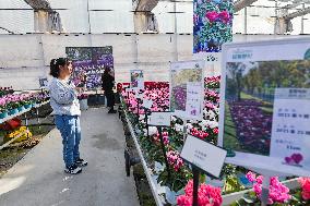 China's Online Sales Industry