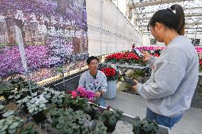 China's Online Sales Industry