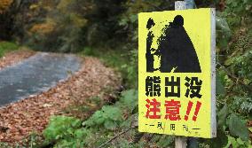 Bear sightings in northeastern Japan