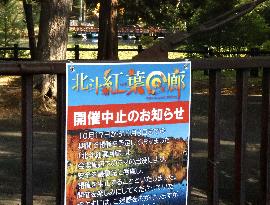 Bear sightings in northern Japan