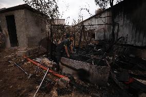 Settlers Attack Tulkarm Village - Palestine