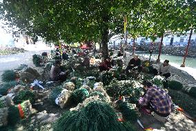 Chive Industry - China