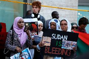 Demonstration in Solidarity with The Sudanese People - Rome