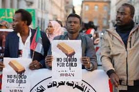 Demonstration in Solidarity with The Sudanese People - Rome