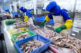 Seafood Export