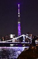 Tokyo Skytree in anti-gendered violence color
