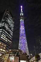 Tokyo Skytree in anti-gendered violence color