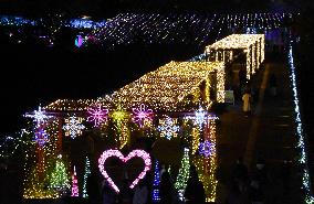 Flower park lit up in western Japan