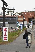 Rising bear sightings in Japan