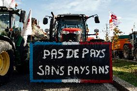 Farmers Mobilize Against Macron In Toulouse - France